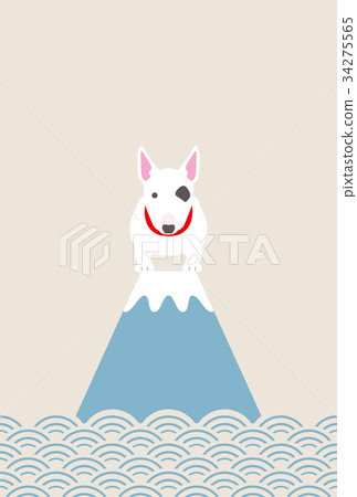 BOTA BULL TERRIER FUJI