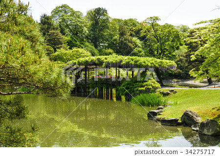 Sen-Dong Gosho Minami-ike Hatsuhashi and Fujitana 34275717