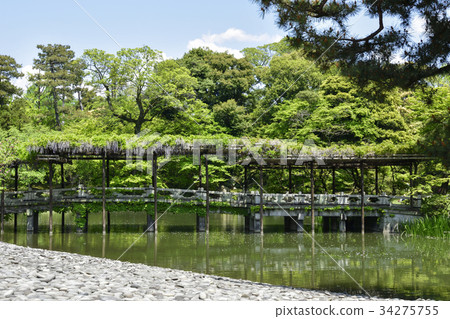 Sen-Dong Gosho Minami-ike Hatsuhashi and Fujitana 34275755