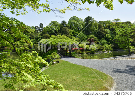 Sen-Dong Gosho Minami-ike Hatsuhashi and Fujitana 34275766