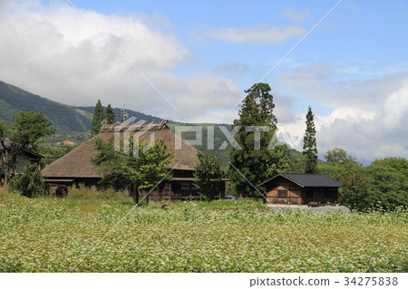 戰國高速公路初秋Yamazato 戰國高速公路初秋Yamazato 34275838