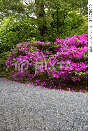 修學院皇家別墅 34276040