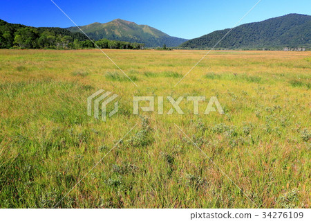 View of the Ozegahara and Zushizan on the autumn leaves 34276109