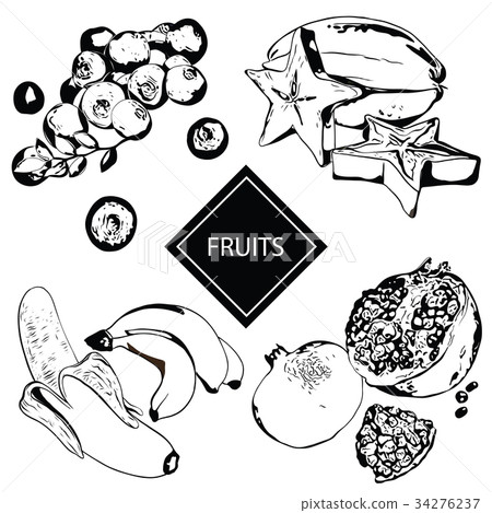 Vector illustration of a bilberry, banana 34276237