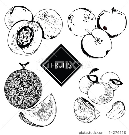 Vector illustration of a peach, apple, melon and 34276238