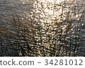 Grass and sunlight bokeh background on the sea. 34281012
