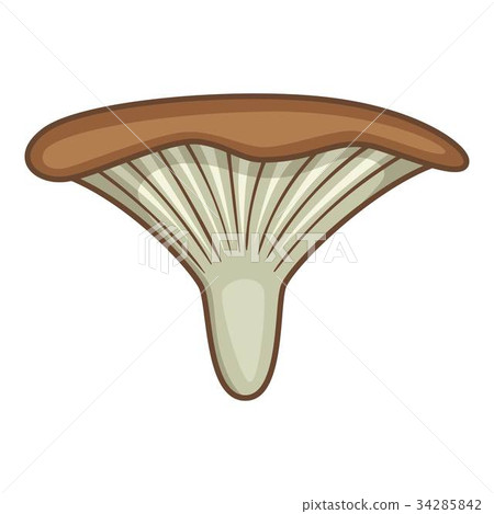 Clitocybe mushroom icon, cartoon style Clitocybe mushroom icon, cartoon style 34285842
