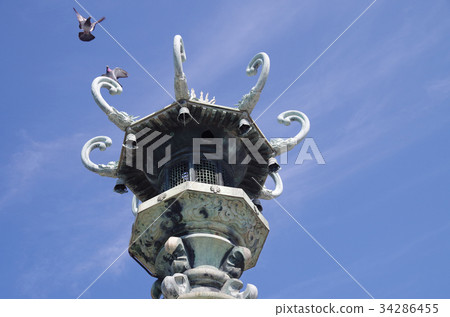 Tasuke lantern in Minato Park 34286455