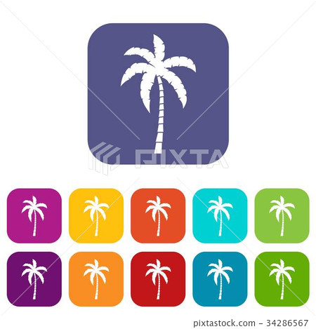 Palm tree icons set 34286567