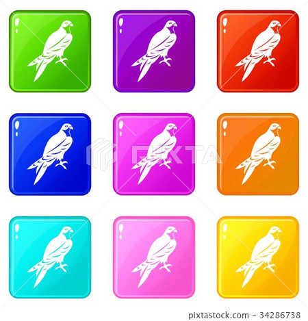 Falcon set 9 34286738