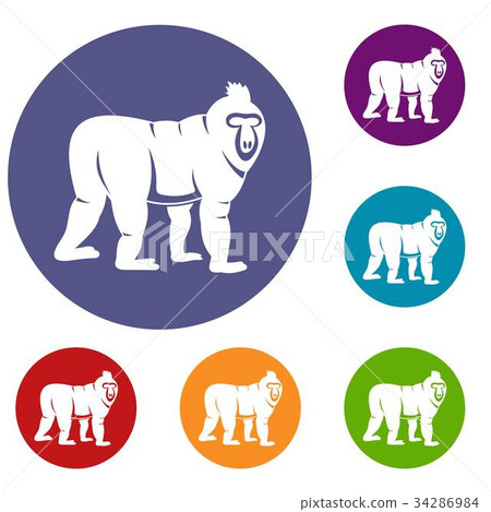 Mandrill monkey icons set 34286984
