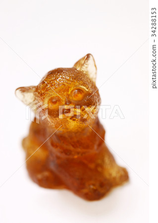 琥珀的貓 34288153
