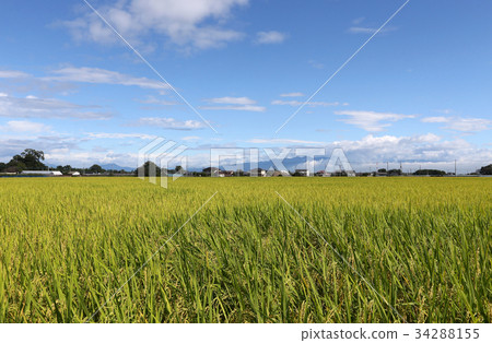 Inaho and autumn sky 34288155