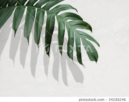 Background Background 34288246