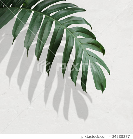 Background Background 34288277