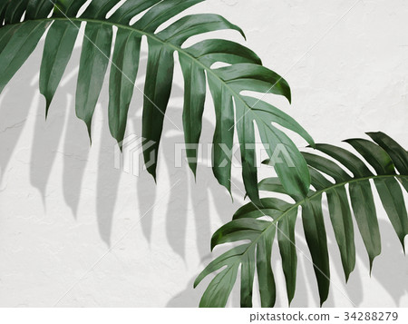 Background Background 34288279