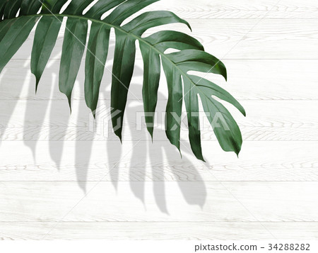 Background Background 34288282