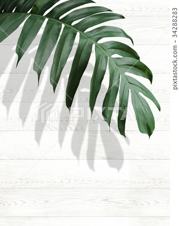 Background Background 34288283