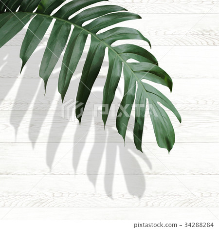 Background Background 34288284