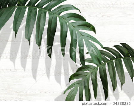 Background Background 34288285