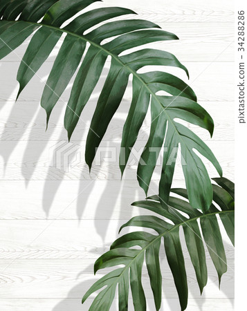 Background Background 34288286