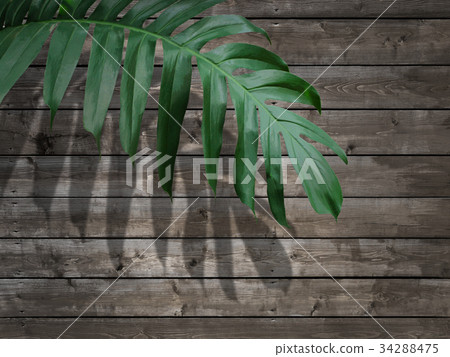 Background Background 34288475