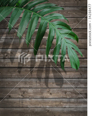 Background Background 34288477