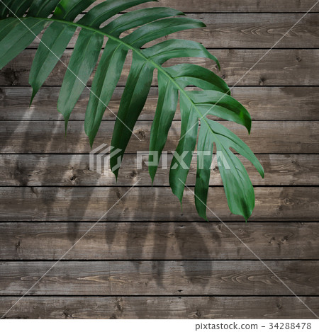 Background Background 34288478