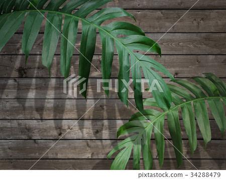 Background Background 34288479