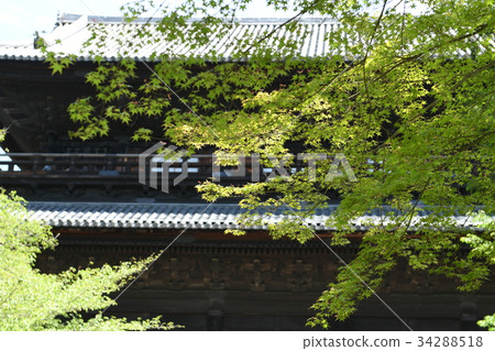 藍色秋葉Nanzenji Sanmon 34288518