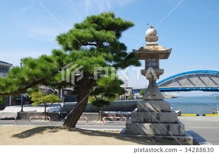 Park blue pine and lantern 34288630