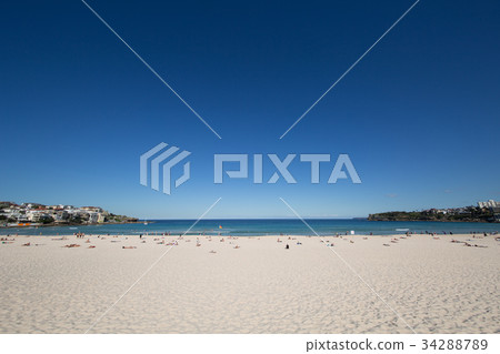 Bondi Beach 34288789