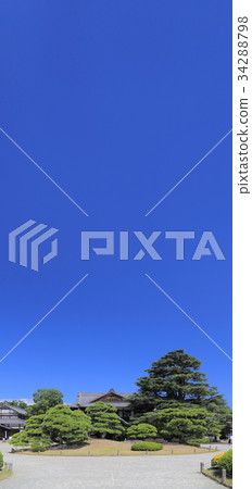 Chamber of Commerce and Industry Promotion Hall and Himalayan cedar in Kuribayashi Park 34288798