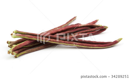 purple bean isolated 34289251