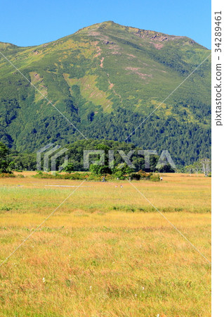 Mt. Foshan seen from Ozegahara of grass autumn leaves Mt. Foshan seen from Ozegahara of grass autumn leaves 34289461