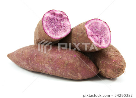 tapioca plants cassava closeup isolated on white tapioca plants cassava closeup isolated on white 34290382