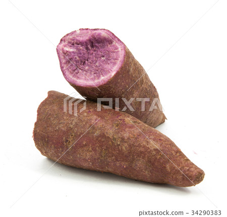 tapioca plants cassava closeup isolated on white tapioca plants cassava closeup isolated on white 34290383