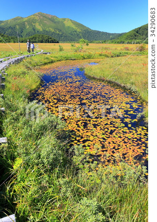 Ozegahara和寺廟池塘的看法 34290683