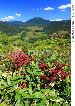 觀點的秋葉和Ozegahara和Mt. Mt. 觀點的秋葉和Ozegahara和Mt. Mt. 34291490