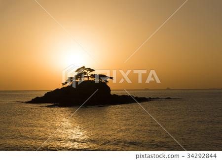 Pine, Solsum, Songsan Peninsula, Buan-gun, Jeonbuk 34292844