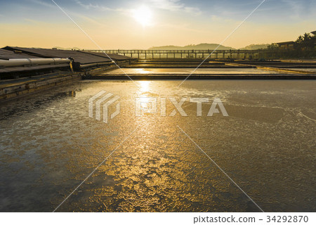 Yeoljeon, Sorae Wetland Ecological Park, Namdong-gu, Incheon 34292870
