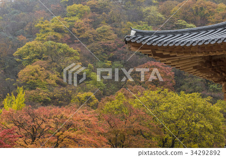仁川,釜山,Jeongeup,全北 仁川,釜山,Jeongeup,全北 34292892
