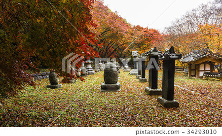 Busan, Jinsaek, Busan, Jeongeup, Jeonbuk Busan, Jinsaek, Busan, Jeongeup, Jeonbuk 34293010