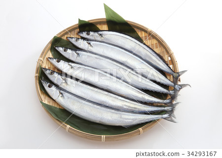 Sanma 34293167