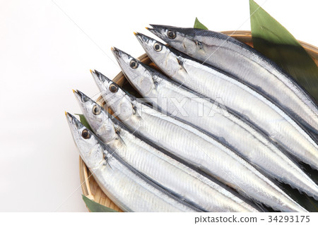 Sanma 34293175