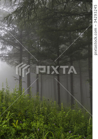 Manhang, Mt. Hambae, Gangwon-do 34293245