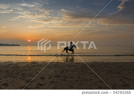 Horse riding, Sindoori beach, Taean-gun, Chungnam 34293268