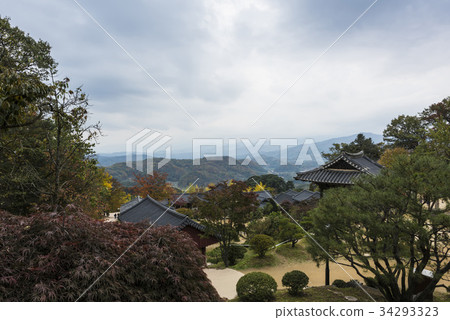 Buseok, Youngju, Gyeongbuk 34293323