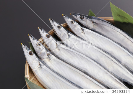 Sanma 34293354