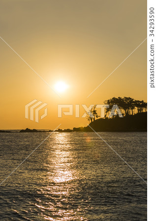 Pine, Myeongseon-do, Ulju-gun, Ulsan Pine, Myeongseon-do, Ulju-gun, Ulsan 34293590